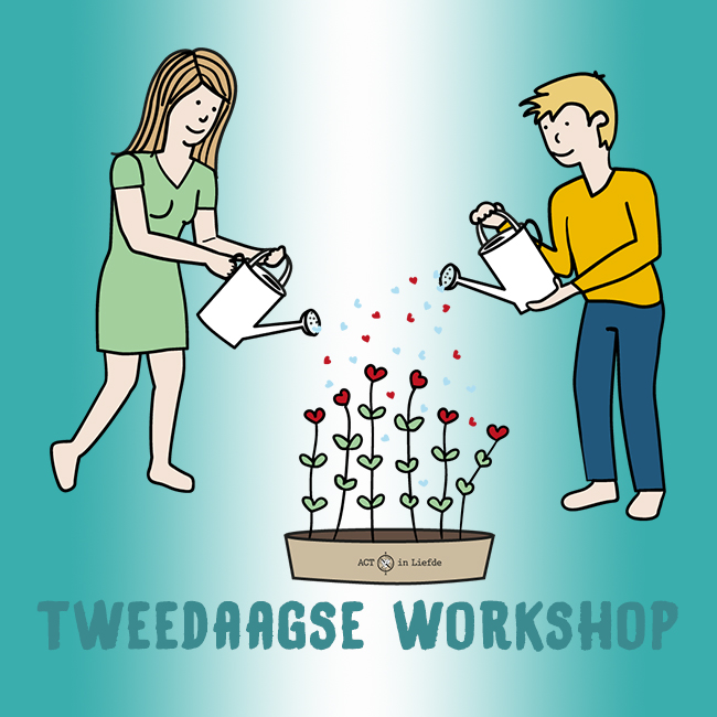 Tweedaagse Workshop