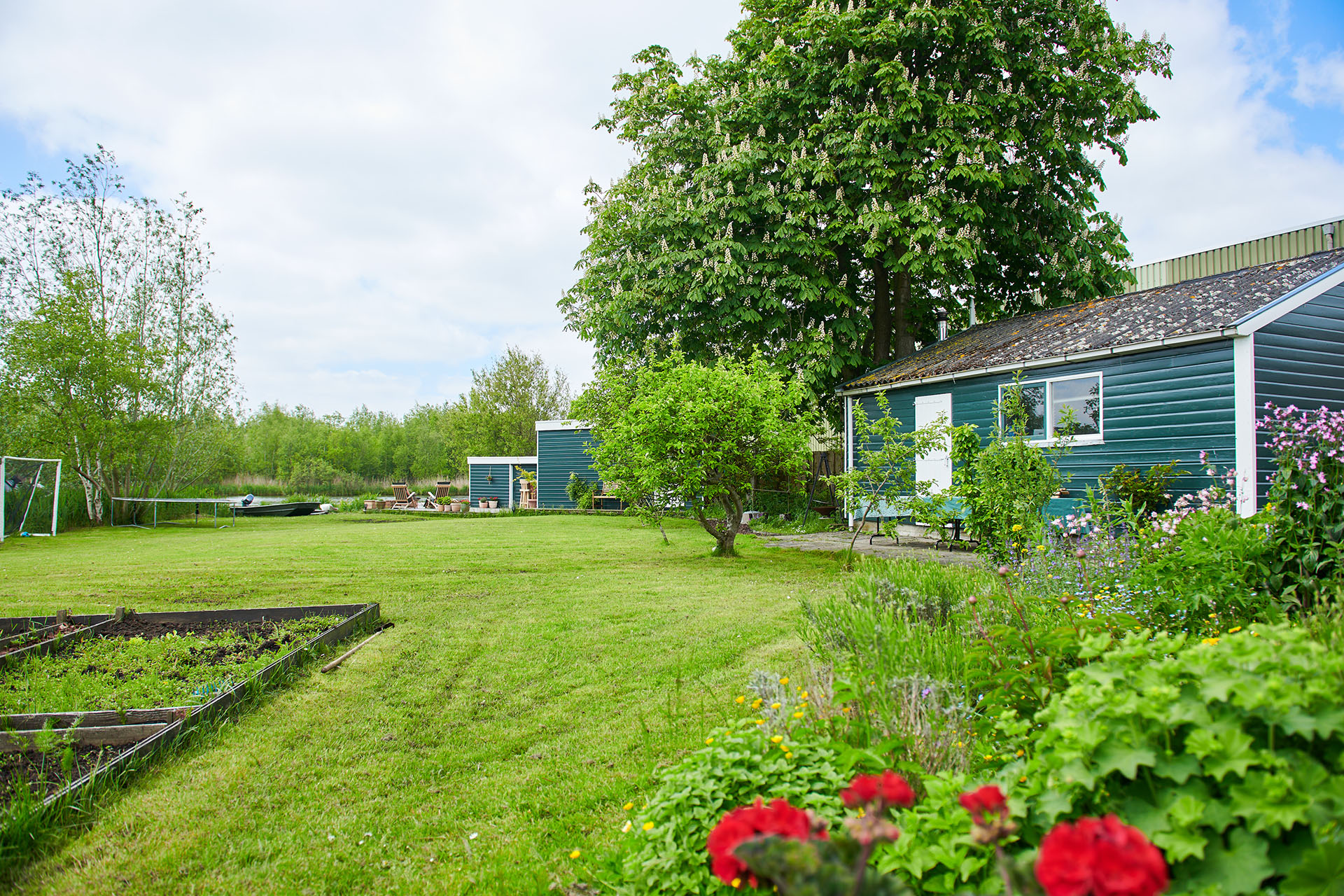 Actinliefde locatie natuurgebiedTwiske Amsterdam tuin workshop